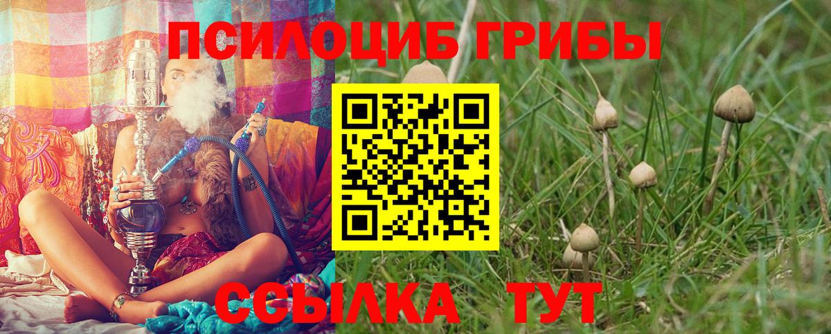 наркошоп  Галлюциногенные грибы MAGIC MUSHROOMS  Вход с VPN  Ахтубинск 